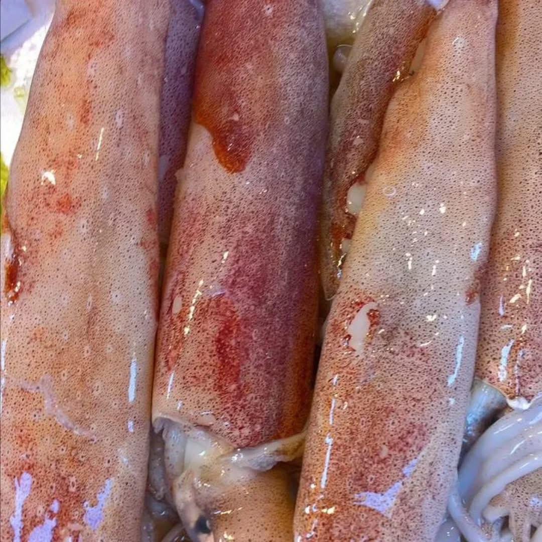 LULAS NACIONAL     -REF CP004