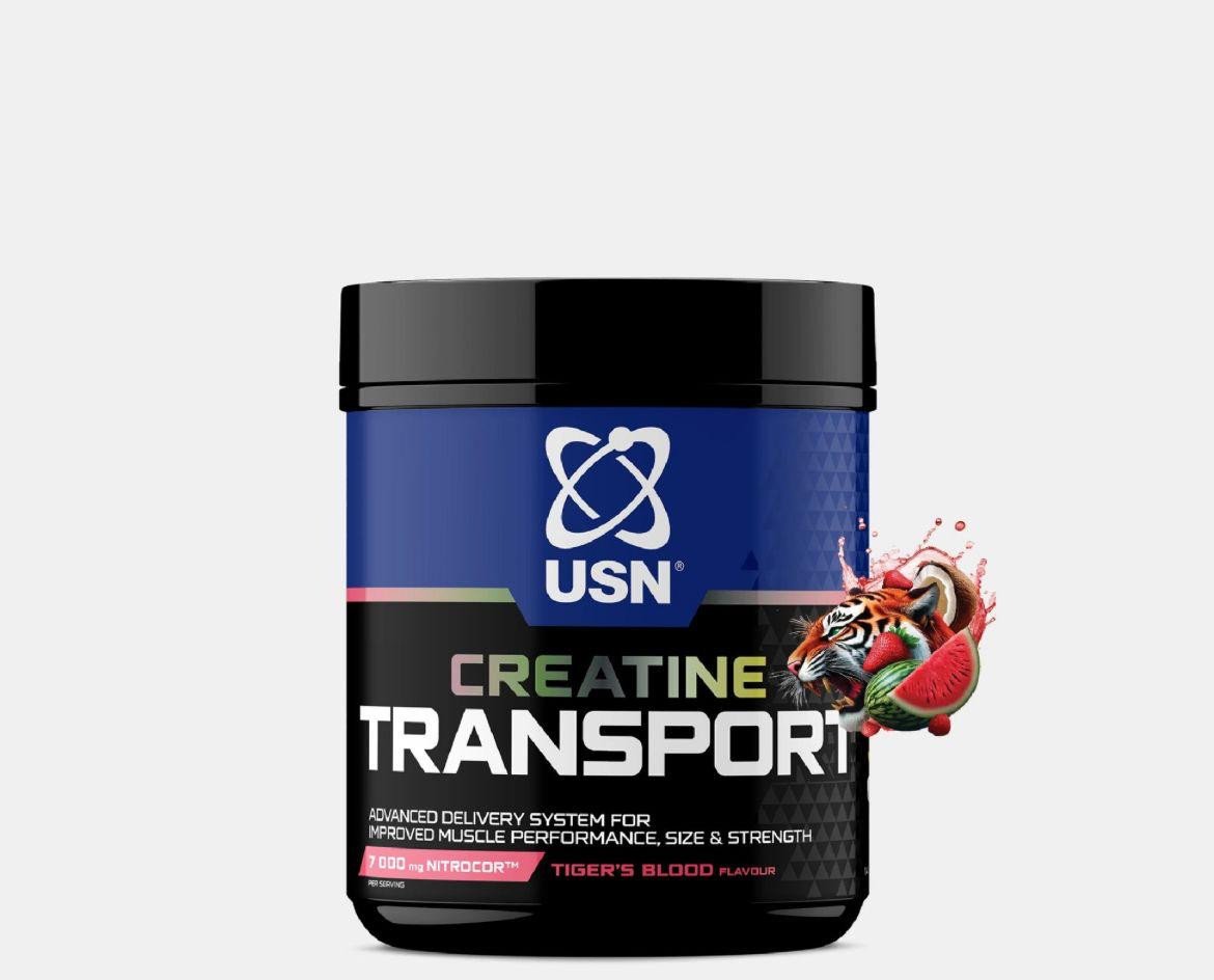 creatine transport