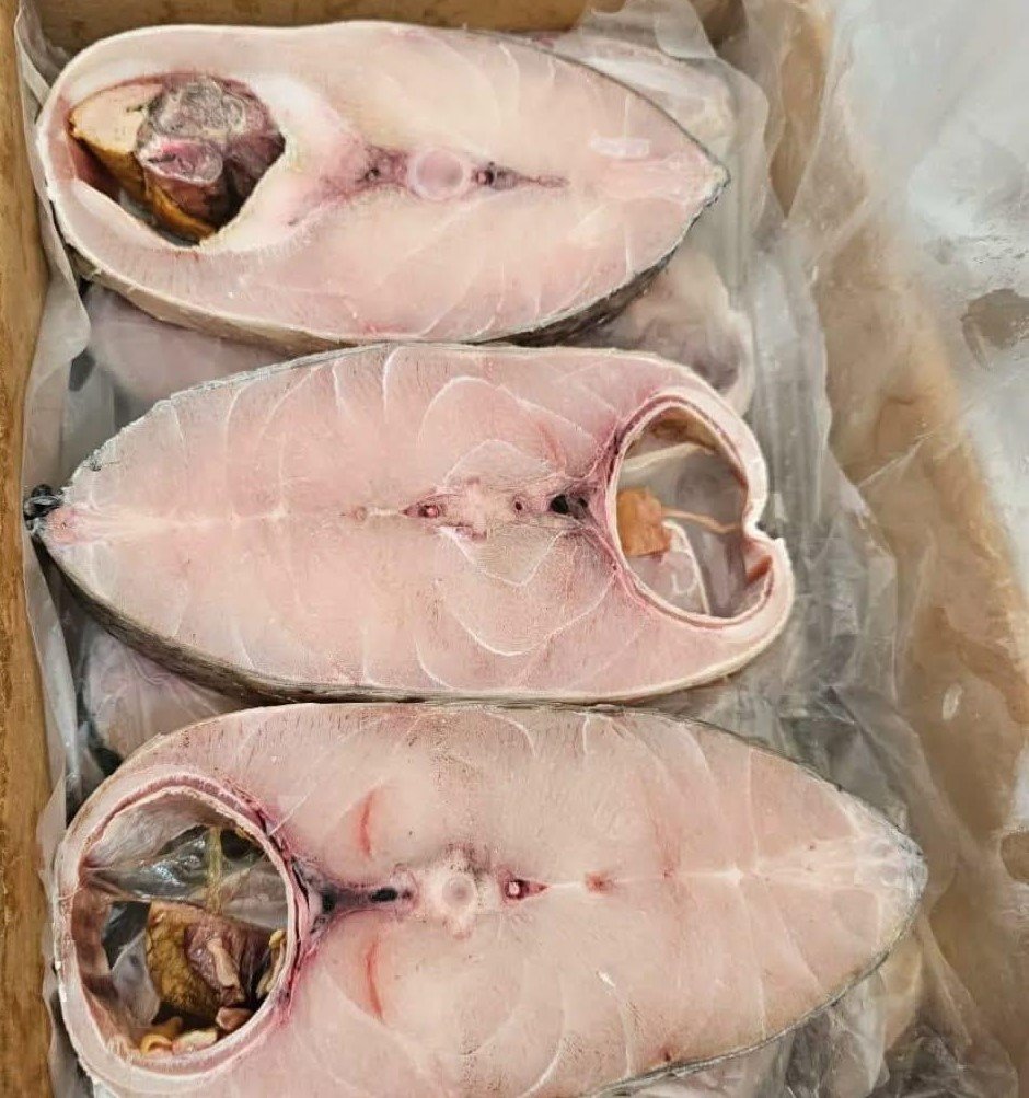 Posta de Garoupa-REF CP014